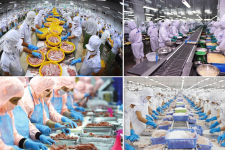 Thủy sản Việt Nam chuyển hướng để tham gia sâu chuỗi giá trị toàn cầu
