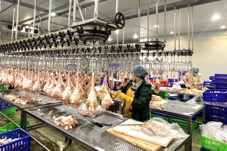 Hà Nội tăng tốc kiểm soát giết mổ nhỏ lẻ, bảo đảm an toàn thực phẩm