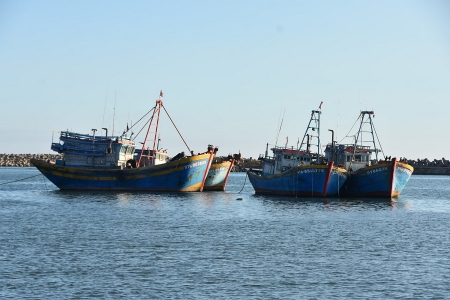 Cơ hội và rủi ro cho doanh nghiệp, nông dân trước đề xuất giảm thuế 0% vật tư nông nghiệp