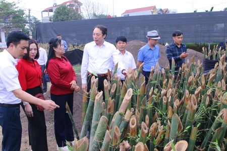 Bắc Ninh: Ra mắt Hợp tác xã sản xuất nông lâm nghiệp công nghệ cao Ngọc Thiện