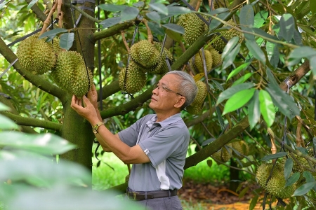 Lâm Đồng: Hợp tác xã nông nghiệp công nghệ cao tăng tốc, doanh thu hàng tỷ nhưng vẫn lộ “điểm nghẽn”