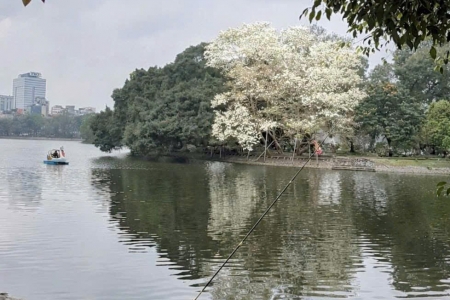 Một Hà Nội rất thơ… từ những khoảng xanh giữa lòng đô thị