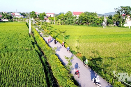 Thái Nguyên triển khai Đề án phát triển hạ tầng các xã khó khăn năm 2026