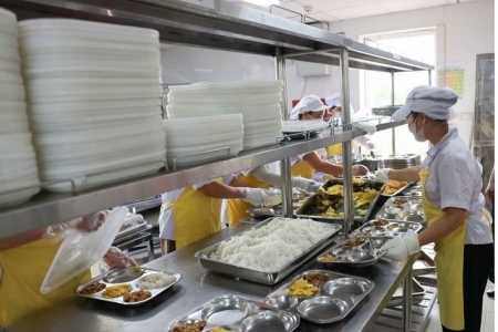 Hà Nội rà soát nguồn thực phẩm bán trú sau vụ gần 300 tấn lợn dịch