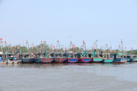 Tạo nền tảng bền vững cho nghề cá Ninh Bình