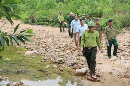 Bắc Ninh: Nhiều địa phương cảnh báo nguy cơ cháy rừng ở cấp cao