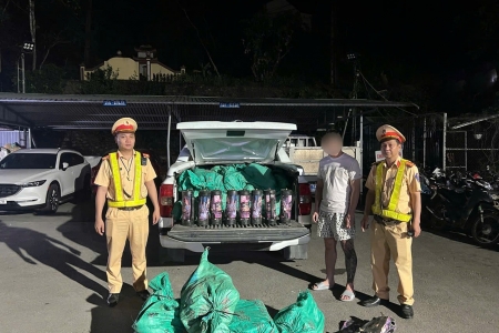 Quảng Ninh: Bắt giữ phương tiện vận chuyển 200 bình khí cười trái phép