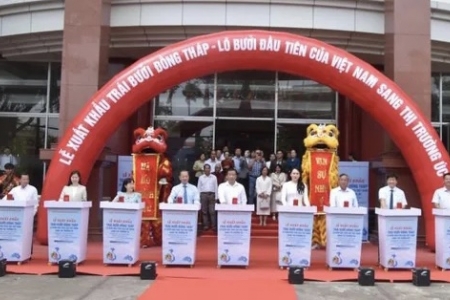 Đồng Tháp tổ chức lễ xuất khẩu lô bưởi đầu tiên sang thị trường Úc