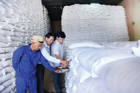 Cục Dự trữ Nhà nước giao các chi cục mua nhập kho 300.000 tấn gạo năm 2026