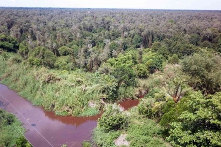 Cà Mau siết chặt phòng cháy rừng