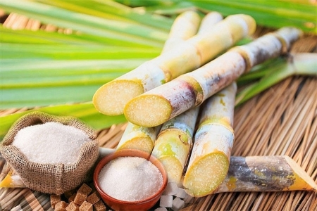 Nghịch lý thị trường đường: Dư cung nội địa, giá thế giới leo thang