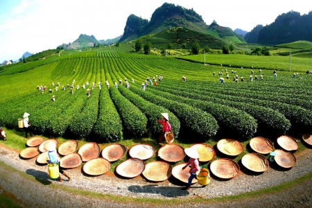 Mộc Châu định hình trung tâm du lịch quốc gia tầm cỡ quốc tế đến năm 2045