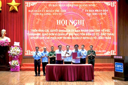 Quảng Ninh: Thành lập và ký kết quy chế phối hợp quản lý Khu bảo tồn biển Cô Tô - Đảo Trần