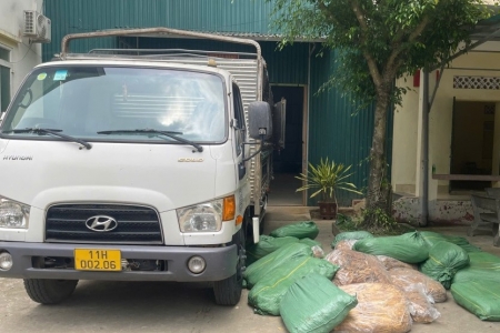 Bộ đội Biên phòng tỉnh Cao Bằng: Thu giữ hơn 1,2 tấn nguyên liệu thuốc lá