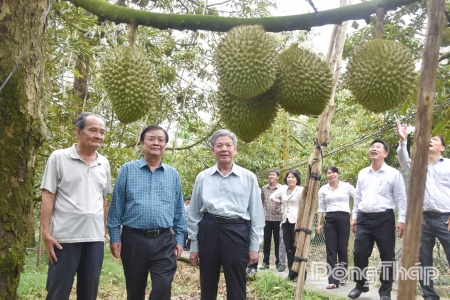 Đồng Tháp sắp tổ chức Lễ hội Trái cây lần đầu tiên với chủ đề “Miền trái ngọt”