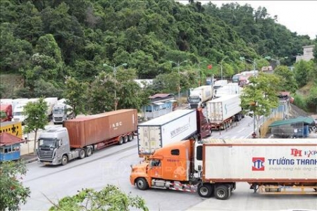 Lạng Sơn: Hoạt động xuất nhập khẩu qua các cửa khẩu duy trì ổn định