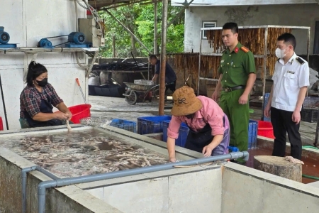 Bắc Ninh: Phát hiện cơ sở kinh doanh hơn 3 tấn lòng lợn bốc mùi
