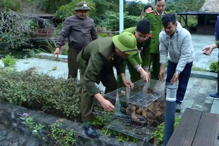 Hải Phòng: Quyết liệt ngăn chặn vi phạm về bảo vệ động vật hoang dã