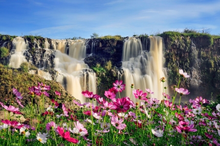 Xứ ngàn hoa níu bước chân du khách, mở hướng phát triển du lịch bền vững cho Lâm Đồng