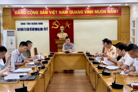 Từ ngày 1/6, cao điểm xử lý các phương tiện nghề cá neo đậu sai vị trí quy định