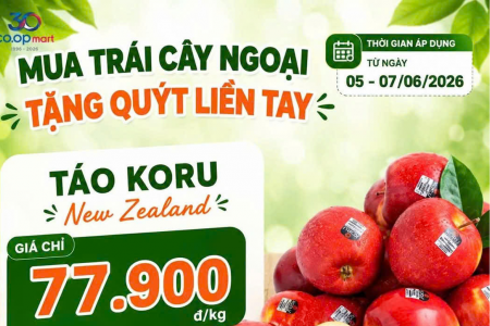 Bắc Ninh triển khai Chương trình khuyến mại tập trung quốc gia năm 2026