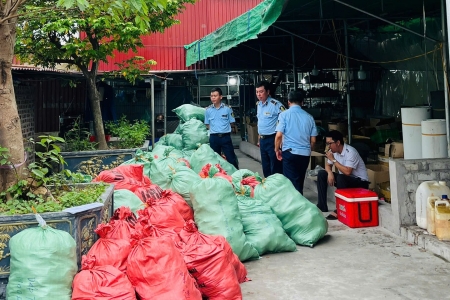 Hải Phòng: Thu giữ hàng nghìn sản phẩm dép trẻ em có dấu hiệu giả mạo nhãn hiệu