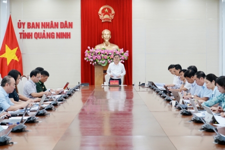 Quảng Ninh: Xử lý 65 vụ vi phạm quyền sở hữu trí tuệ trong một tháng cao điểm