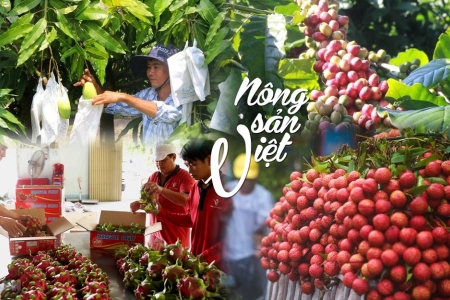 Xuất khẩu rau quả tăng tốc, nhưng áp lực tái cấu trúc ngày càng lớn