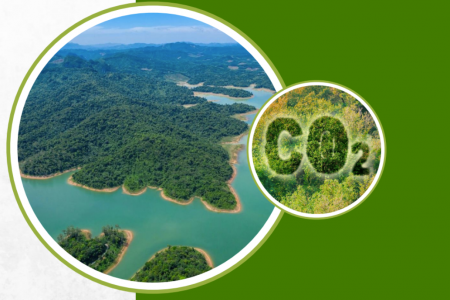 PV Power chuẩn bị giao dịch lô hàng hóa đầu tiên của thị trường carbon