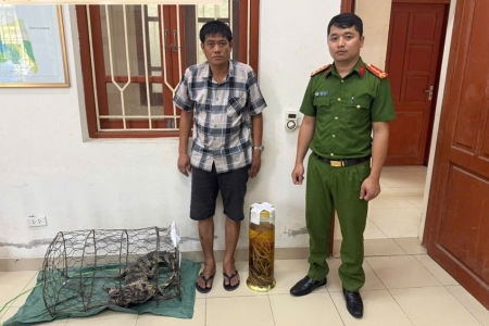 Ninh Bình: Khởi tố đối tượng tàng trữ trái phép bộ phận động vật hoang dã quý hiếm