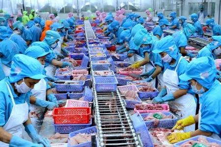 Xuất khẩu nông, lâm, thủy sản đạt gần 36 tỷ USD sau 6 tháng