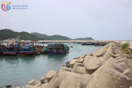 Tạm ngừng cấp phép tàu hoạt động trên vùng biển Quảng Ninh