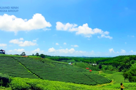 Quảng Ninh: Khai thác du lịch trải nghiệm mới ở Đường Hoa
