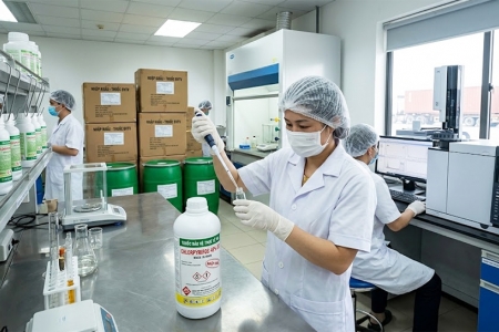 Lào Cai phân cấp kiểm tra chất lượng thuốc bảo vệ thực vật nhập khẩu từ tháng 7