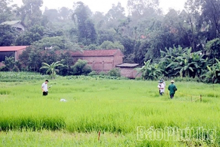Phú Thọ triển khai nguyên tắc "khai một lần, dùng nhiều lần" với dữ liệu đất đai
