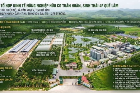 Tập đoàn Quế Lâm xây dựng dự án 4F Quế Lâm gần 1.300 tỷ đồng tại Hà Tĩnh
