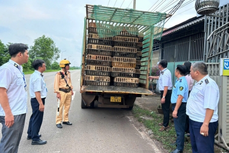 6 tháng đầu năm, TP.HCM xử phạt 147,5 triệu đồng vi phạm lĩnh vực thú y