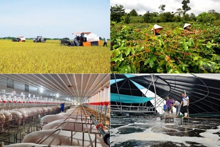 Quảng Trị được bổ sung hơn 276 tỷ đồng thực hiện Chương trình mục tiêu quốc gia