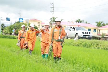 Điện lực Điện Biên chủ động phương án bảo đảm an toàn hệ thống lưới điện mùa mưa bão