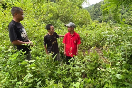 Quảng Trị: Thêm nguồn tin về mộ liệt sĩ Việt Nam ở khu vực biên giới Việt - Lào