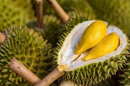 Lâm Đồng triển khai hệ thống truy xuất nguồn gốc nông sản, thúc đẩy chuyển đổi số ngành nông nghiệp