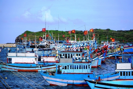 Lâm Đồng siết chặt kiểm tra, xử lý nghiêm vi phạm khai thác IUU, quyết tâm gỡ "thẻ vàng" EC