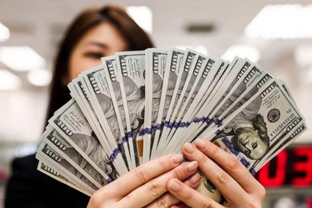 Tỷ giá USD hôm nay 31/7: Đồng USD giảm