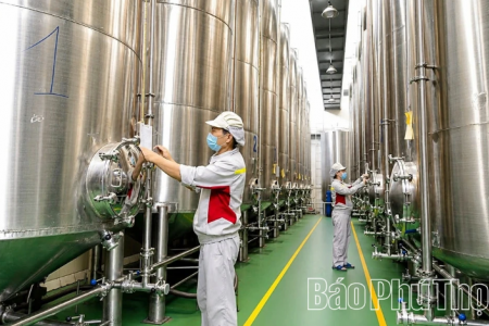 Chương trình OCOP góp phần xây dựng nền kinh tế nông thôn bền vững tại Phú Thọ