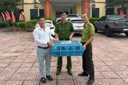 Hà Tĩnh: Người dân tự nguyện giao nộp 1 cá thể rồng đất quý hiếm
