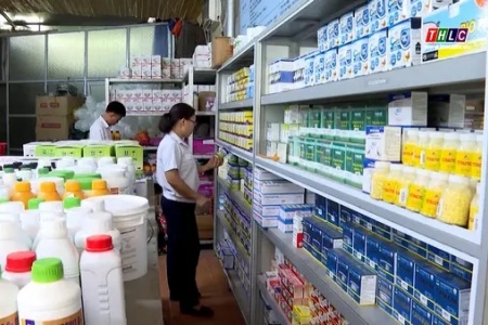 Ninh Bình tăng cường quản lý sản xuất, kinh doanh và sử dụng thuốc thú y