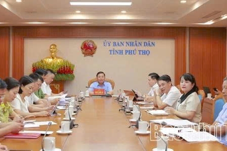 Phú Thọ đơn giản hóa thủ tục cấp mã số vùng trồng, cơ sở đóng gói