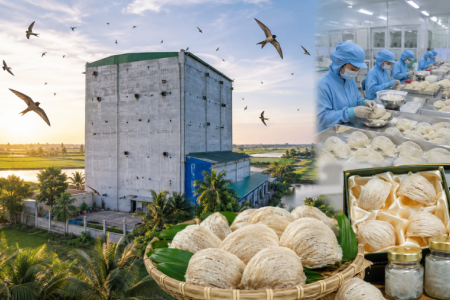 Đồng Tháp siết truy xuất nguồn gốc, nâng chuẩn thương hiệu yến sào