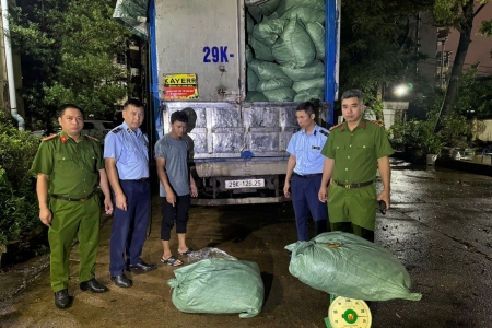 Quảng Ninh: Thu giữ hơn 8,7 tấn chân gà không rõ nguồn gốc