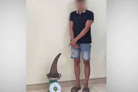 Cao Bằng: Khởi tố, bắt tạm giam người vận chuyển 3,64 kg sừng tê giác
